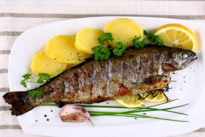 ماهی قزل آلا